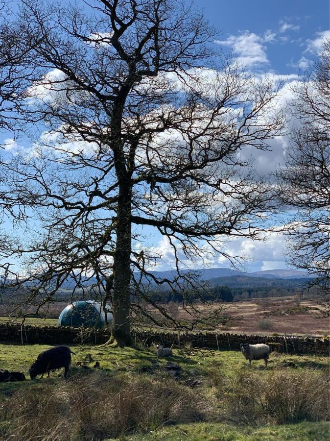 Cardross Estate Glamping Pods Hotel Stirling Exterior photo